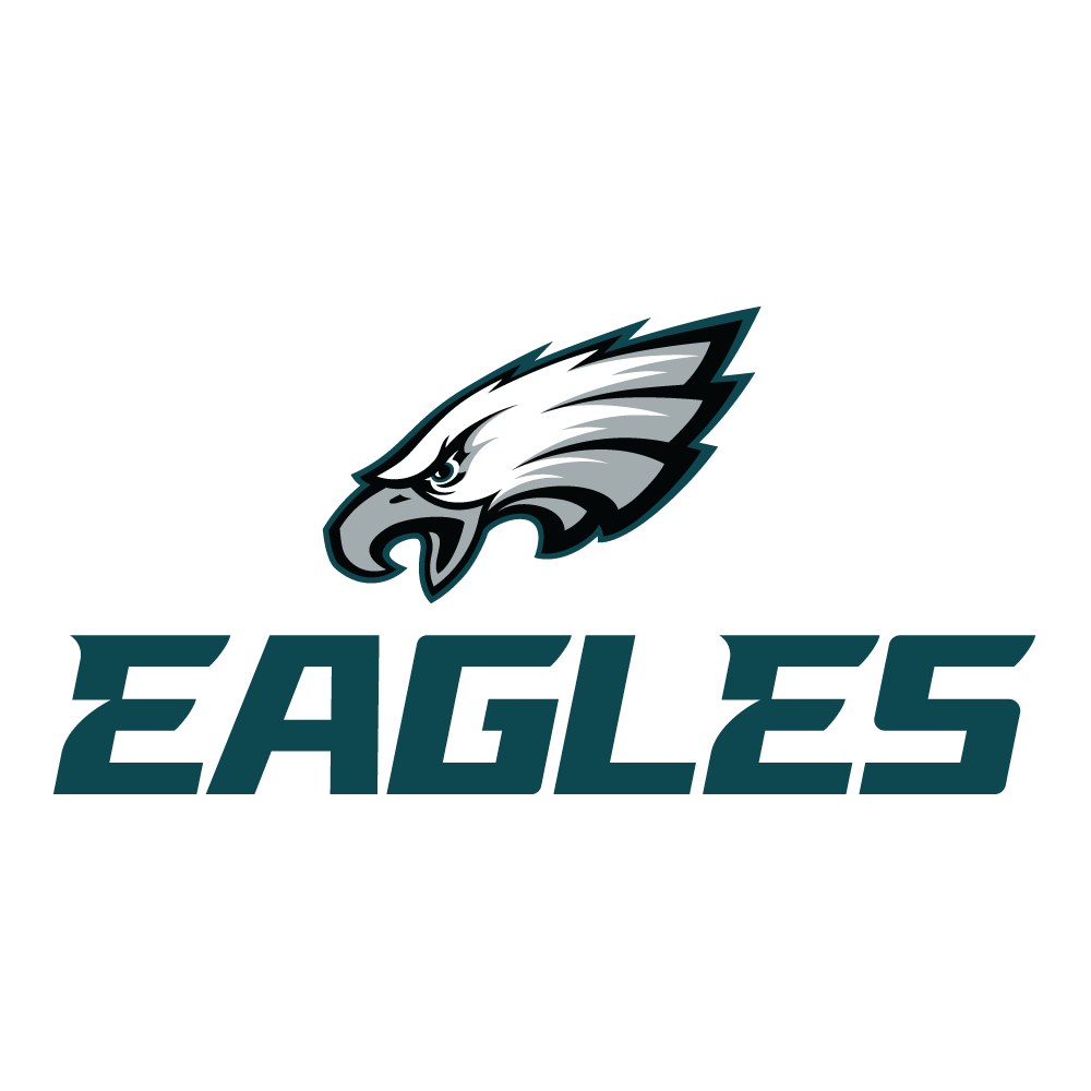 Philadelphia Eagles Custom Painting