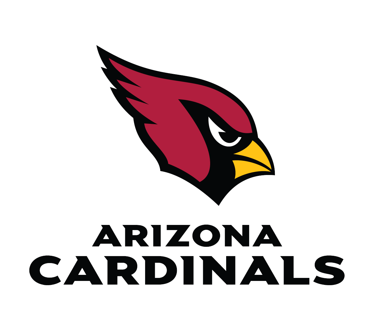 Arizona Cardinals Custom Painting