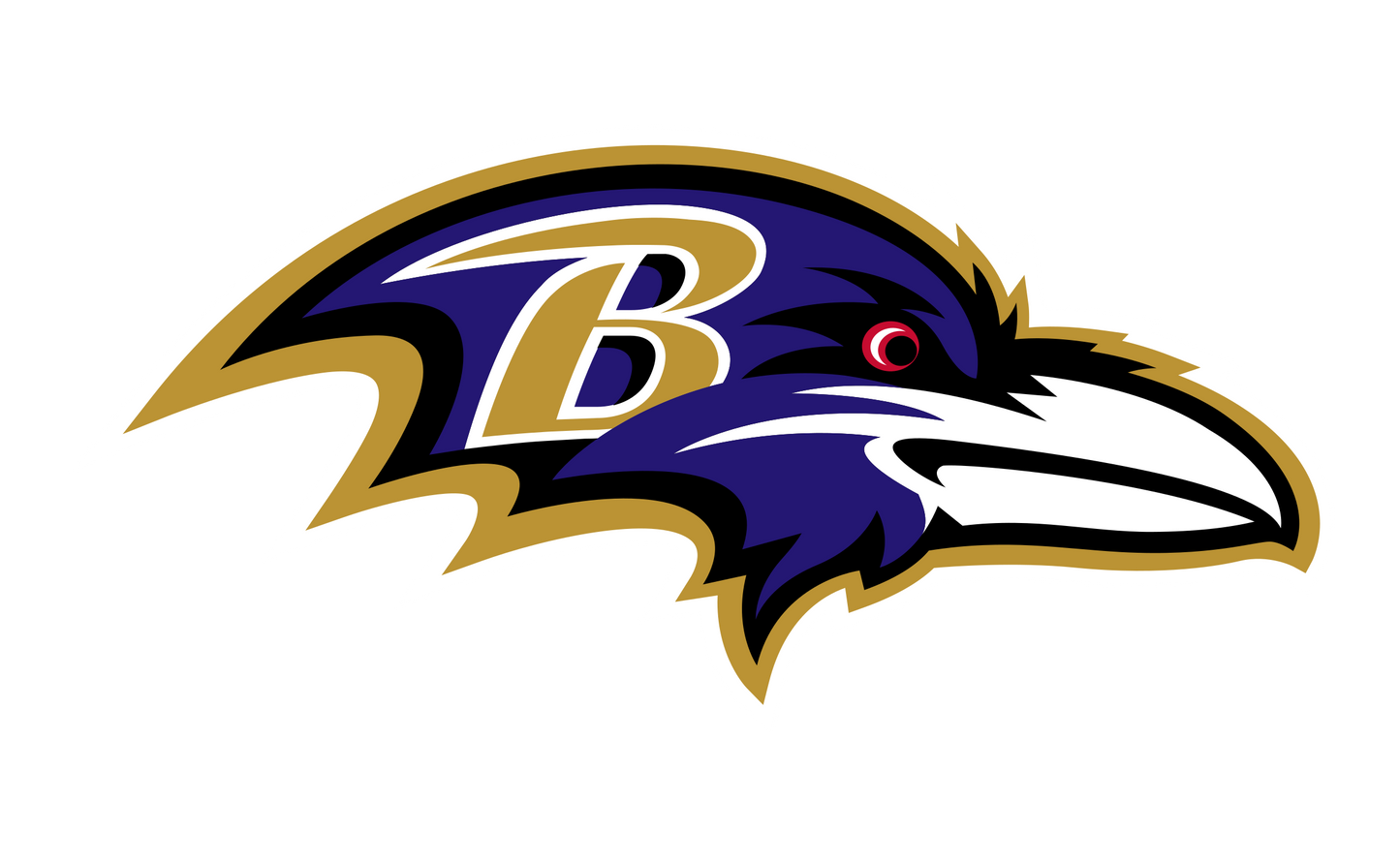 Baltimore Ravens Custom Painting