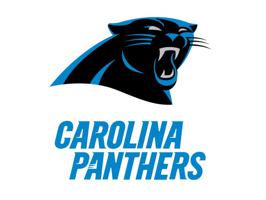 Carolina Panthers Custom Painting