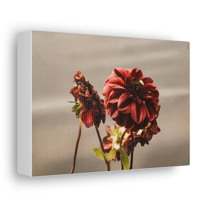 MAE Fine Arts Canvas Gallery Wraps